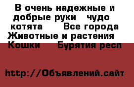 В очень надежные и добрые руки - чудо - котята!!! - Все города Животные и растения » Кошки   . Бурятия респ.